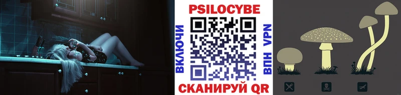 Галлюциногенные грибы Psilocybe  Красноперекопск 